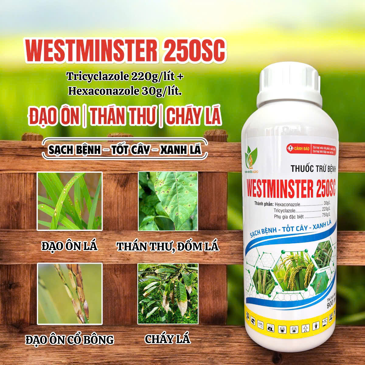 Westminster 250SC - Chai 900ml